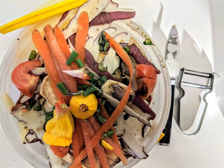 Simple and Effective Ways to Reduce Food Waste at Home