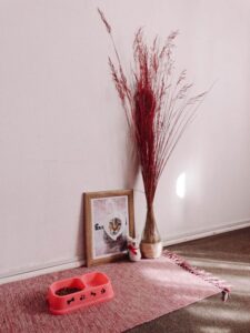 How to Set Up a Cozy and Pet-Friendly Home Corner